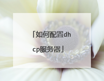 如何配置dhcp服务器