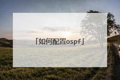 如何配置ospf
