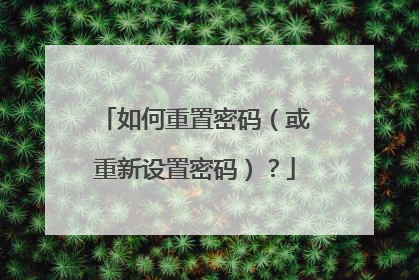 如何重置密码（或重新设置密码）？
