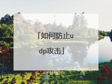 如何防止udp攻击