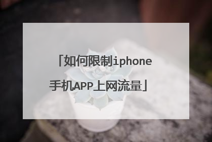 如何限制iphone手机APP上网流量