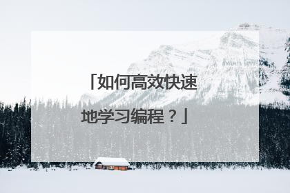如何高效快速地学习编程？