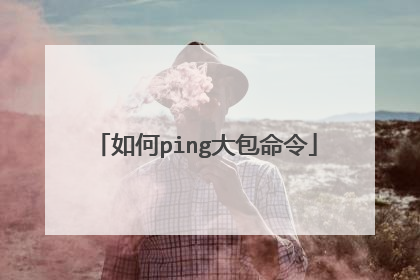 如何ping大包命令