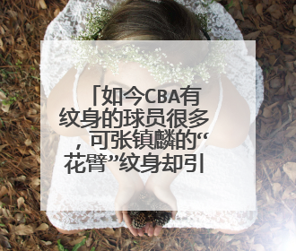 如今CBA有纹身的球员很多,可张镇麟的“花臂”纹身却引来争议
