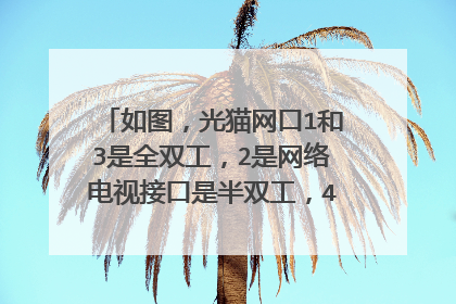 如图,光猫网口1和3是全双工,2是网络电视接口是半双工,4接口也是半双工,这有啥区别啊?