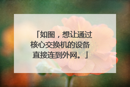 如图，想让通过核心交换机的设备直接连到外网。