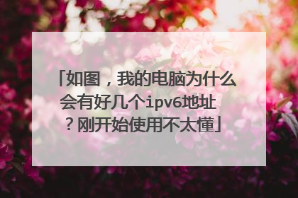 如图,我的电脑为什么会有好几个ipv6地址?刚开始使用不太懂