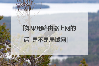 如果用路由器上网的话 是不是局域网
