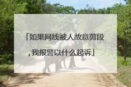 如果网线被人故意剪段,我报警以什么起诉