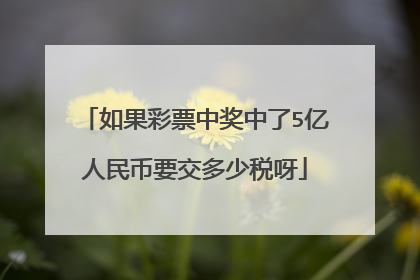 如果彩票中奖中了5亿人民币要交多少税呀