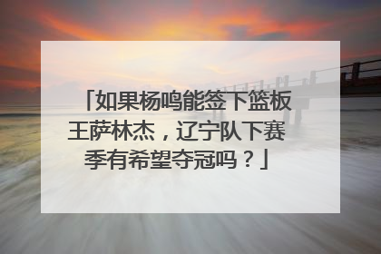 如果杨鸣能签下篮板王萨林杰，辽宁队下赛季有希望夺冠吗？
