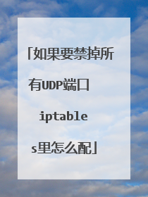 如果要禁掉所有UDP端口 iptables里怎么配