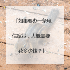 如果要办一条电信宽带，大概需要花多少钱？