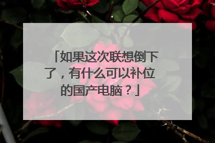 如果这次联想倒下了，有什么可以补位的国产电脑？