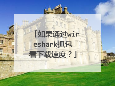 如果通过wireshark抓包看下载速度?