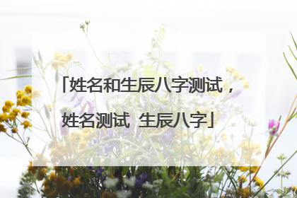姓名和生辰八字测试,姓名测试 生辰八字