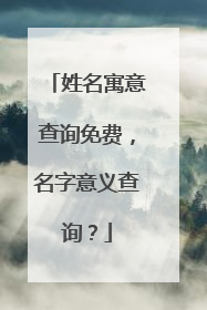 姓名寓意查询免费,名字意义查询?