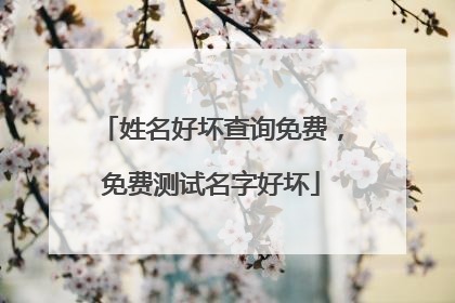 姓名好坏查询免费,免费测试名字好坏