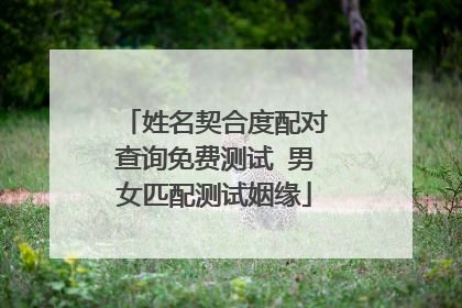 姓名契合度配对查询免费测试 男女匹配测试姻缘