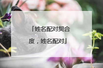 姓名配对契合度，姓名配对