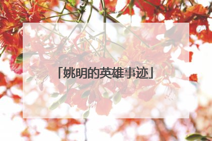 姚明的英雄事迹