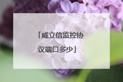 威立信监控协议端口多少