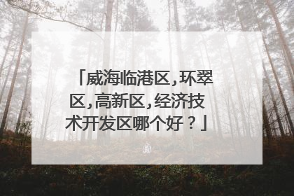 威海临港区,环翠区,高新区,经济技术开发区哪个好？