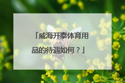 威海开泰体育用品的待遇如何？