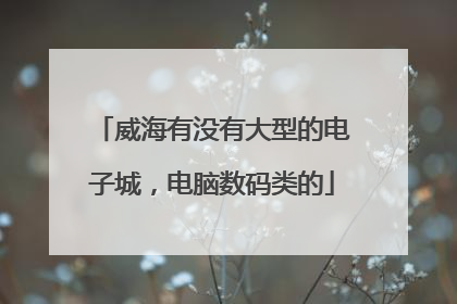 威海有没有大型的电子城,电脑数码类的
