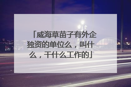 威海草苗子有外企独资的单位么，叫什么，干什么工作的