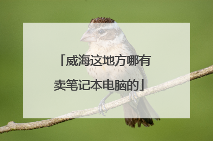 威海这地方哪有卖笔记本电脑的
