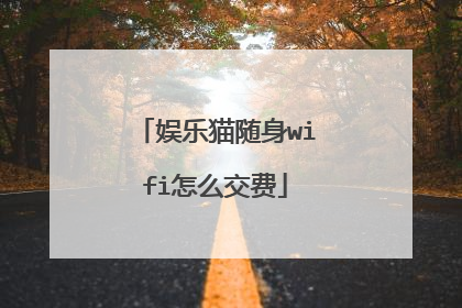 娱乐猫随身wifi怎么交费