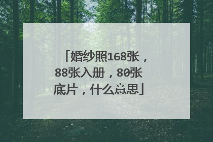 婚纱照168张，88张入册，80张底片，什么意思