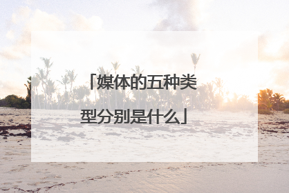 媒体的五种类型分别是什么