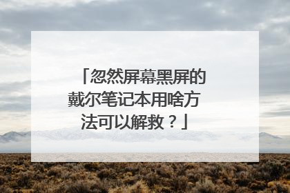 忽然屏幕黑屏的戴尔笔记本用啥方法可以解救?