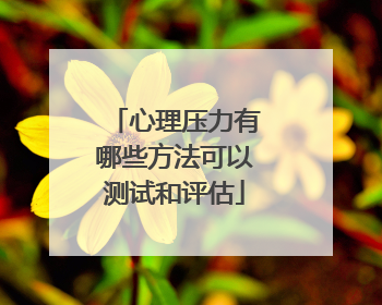 心理压力有哪些方法可以测试和评估