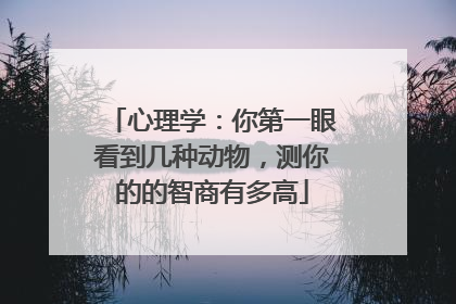 心理学:你第一眼看到几种动物,测你的的智商有多高