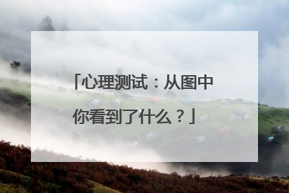 心理测试：从图中你看到了什么？