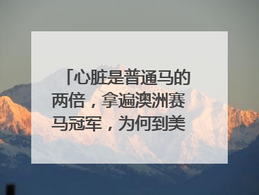 心脏是普通马的两倍，拿遍澳洲赛马冠军，为何到美国后离奇死亡？