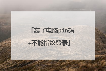 忘了电脑pin码+不能指纹登录