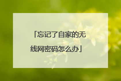 忘记了自家的无线网密码怎么办