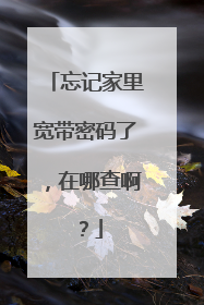 忘记家里宽带密码了，在哪查啊？