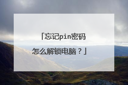 忘记pin密码怎么解锁电脑?