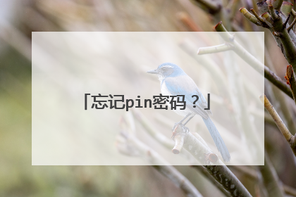 忘记pin密码?