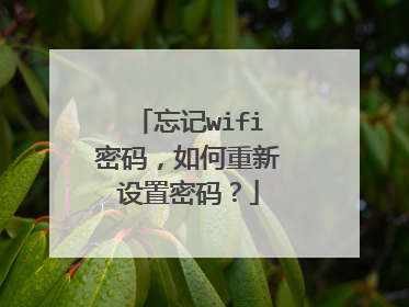 忘记wifi密码,如何重新设置密码?