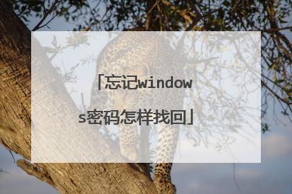 忘记windows密码怎样找回