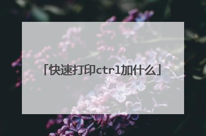 快速打印ctrl加什么