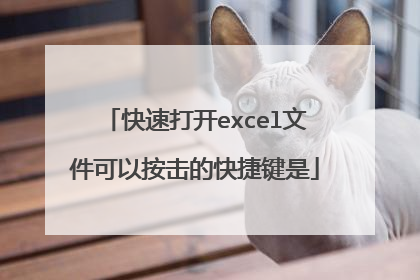 快速打开excel文件可以按击的快捷键是