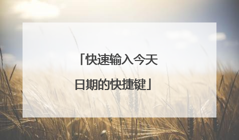 快速输入今天日期的快捷键