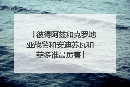 彼得阿兹和克罗地亚战警和安迪苏瓦和菲多谁最厉害